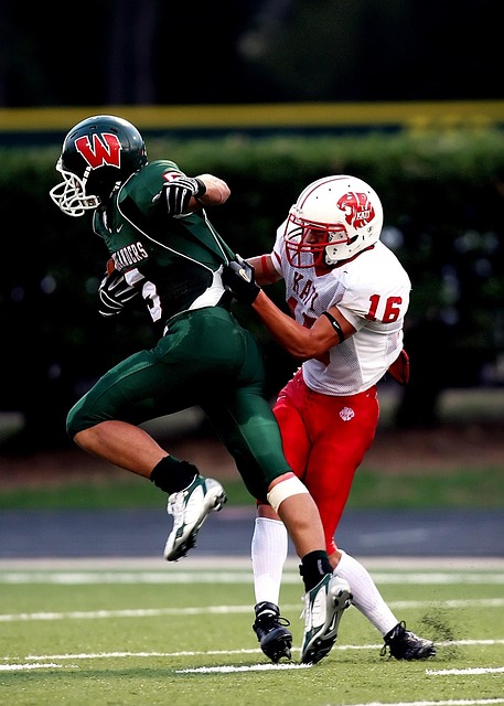 子正是这种 子正是这种