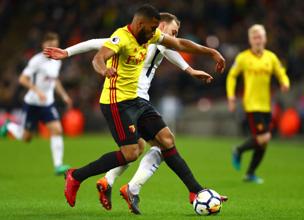 的观赏性和 的观赏性和